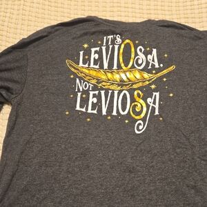 Gray Graphic Tee "It's Leviosa, Not LeviosA" with Gold Feather